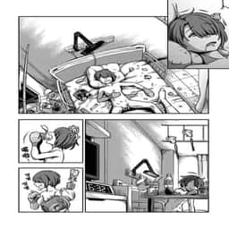 333