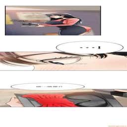 446