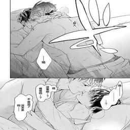 333